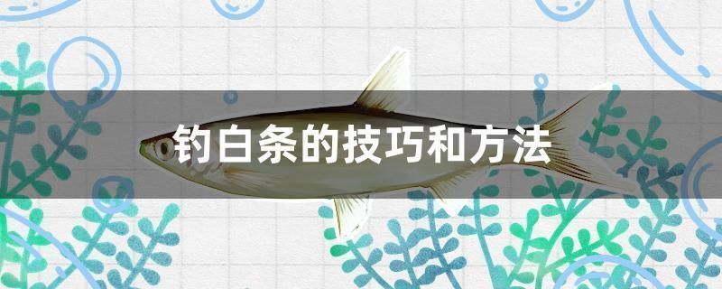 胭脂孔雀龍魚過背過程圖片：胭脂孔雀龍魚混養成功案例分析胭脂孔雀龍魚混養成功案例