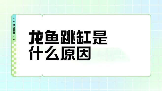 龍魚跳出魚缸有什么征兆