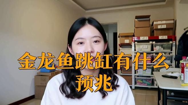 龍魚跳出魚缸有什么征兆