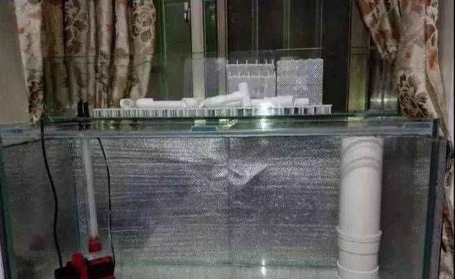 魚缸最長使用壽命（超白玻璃魚缸保養技巧）