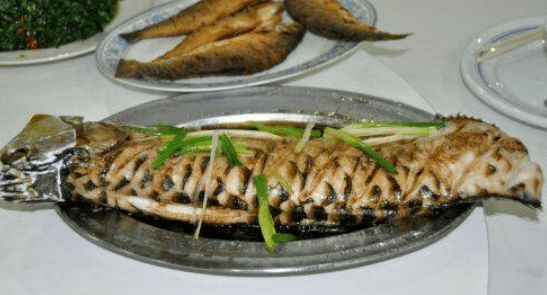 龍魚得了水霉怎么辦能治好嗎：如何治療龍魚水霉病