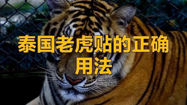 老虎膏的正確用法視頻