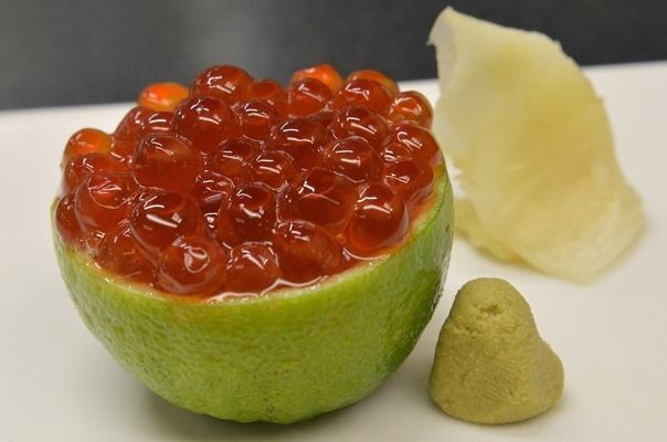 恐龍魚不吃東西變瘦變短了（如何判斷恐龍魚是否患病）