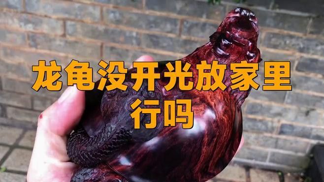 龍龜擺件放入魚缸需要開光嗎？