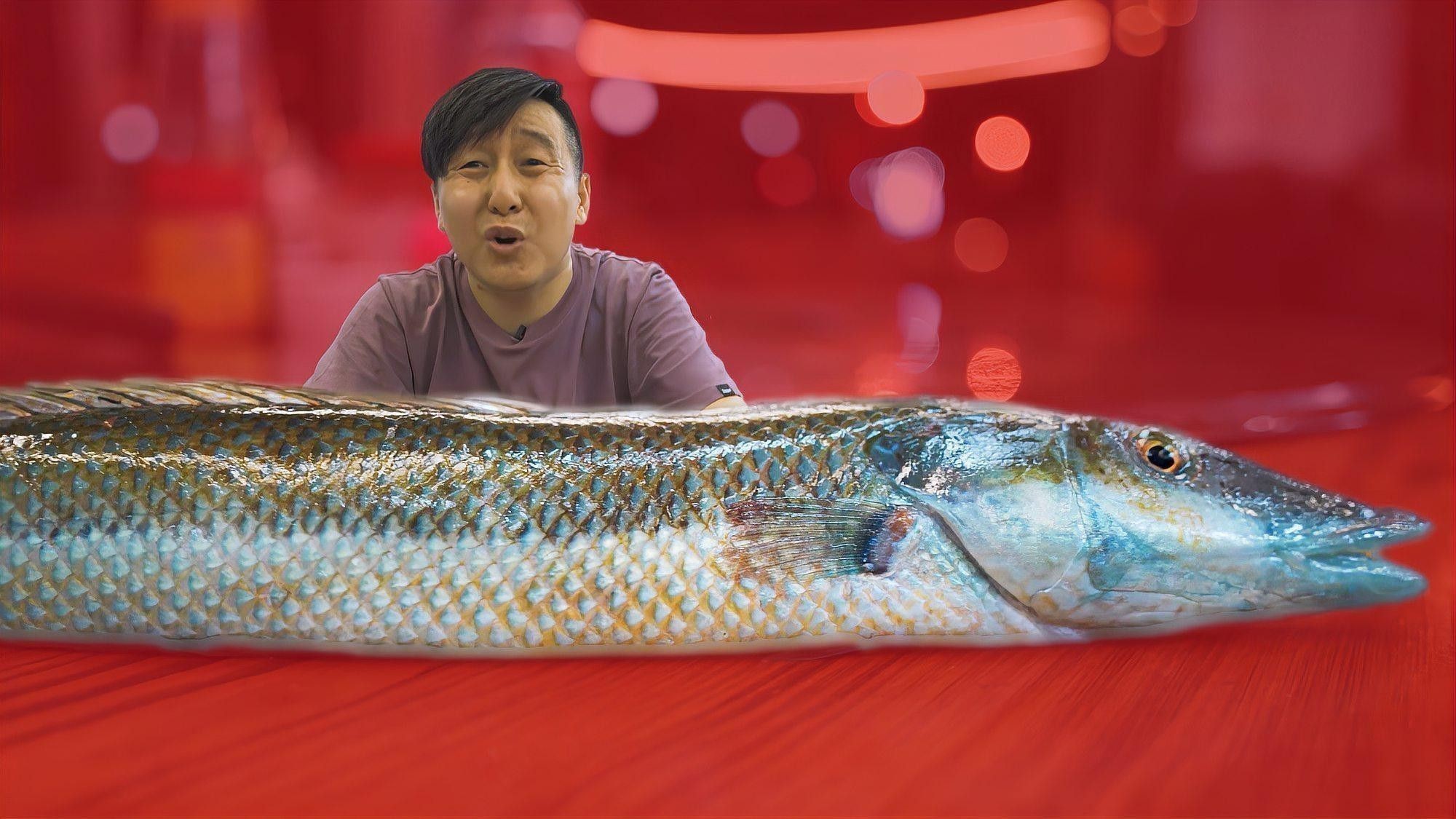 海南野生過(guò)山龍魚(yú)能吃嗎圖片大全