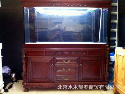 龍魚的飼養溫度要求多少度：龍魚的飼養溫度要求