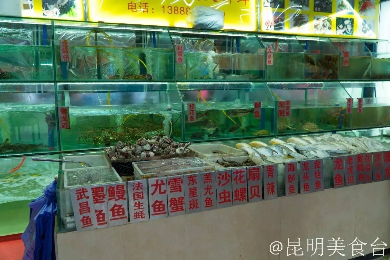 云南省昆明市龍魚批發市場電話（希望這些信息能幫助您順利聯系到昆明龍魚市場）