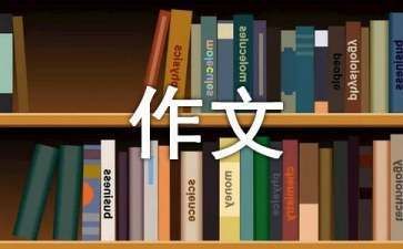 魚缸養魚哪些魚好養（如何養護孔雀魚斗魚的日常管理技巧）