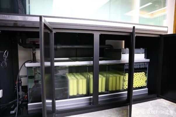 魚缸剛換水就渾濁原因和解決方案視頻（如何解決魚缸水渾濁問題）