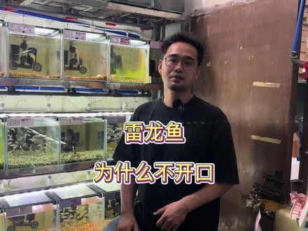 彩虹雷龍魚怎么養？彩虹雷龍魚飼養方法