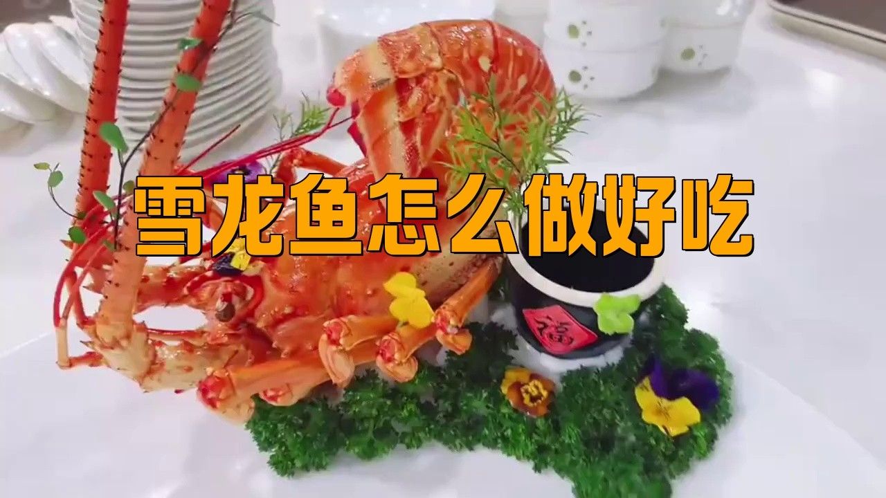 雪龍魚價格多少錢一條