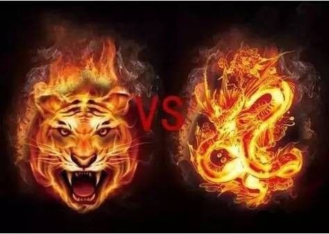 雷龍和龍魚虎魚混養嗎圖片