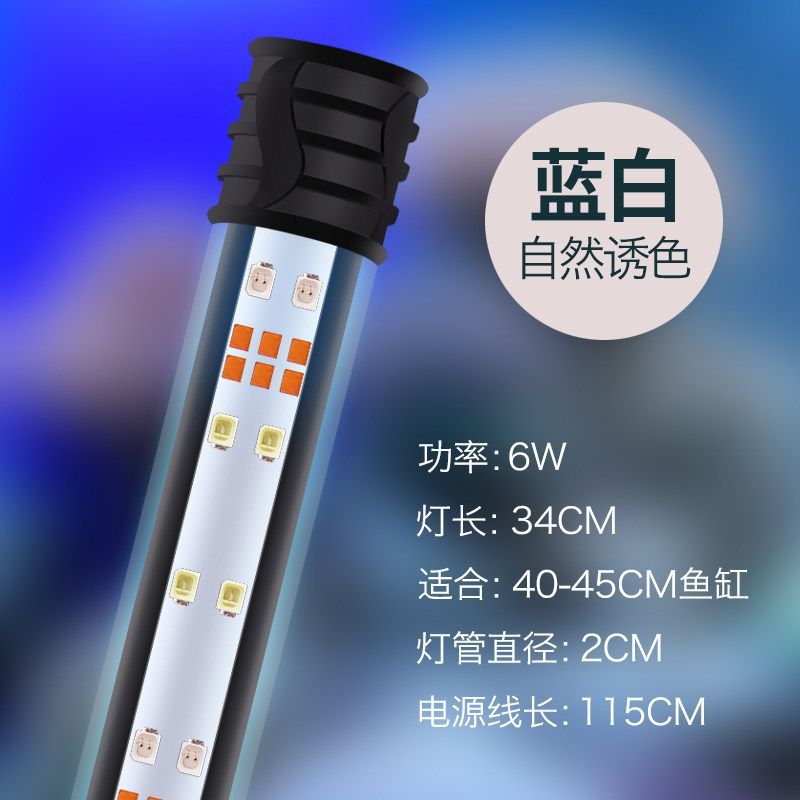 龍魚燈led和燈管的區別，led龍魚燈和燈管哪個好