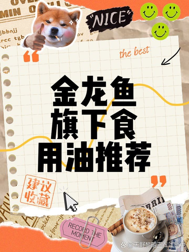 金龍魚收藏市場有哪些知名品牌？