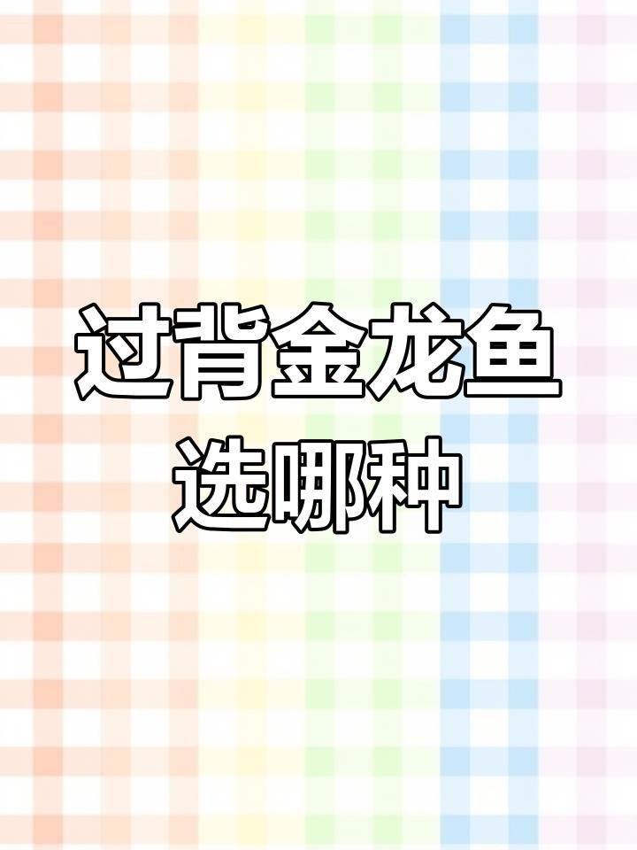 過背金龍魚的選購指南