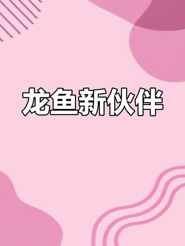 藍帆眼斑三間魚龍魚