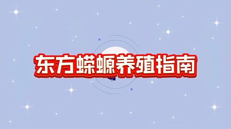 如何預(yù)防小火龍蠑螈疾病？