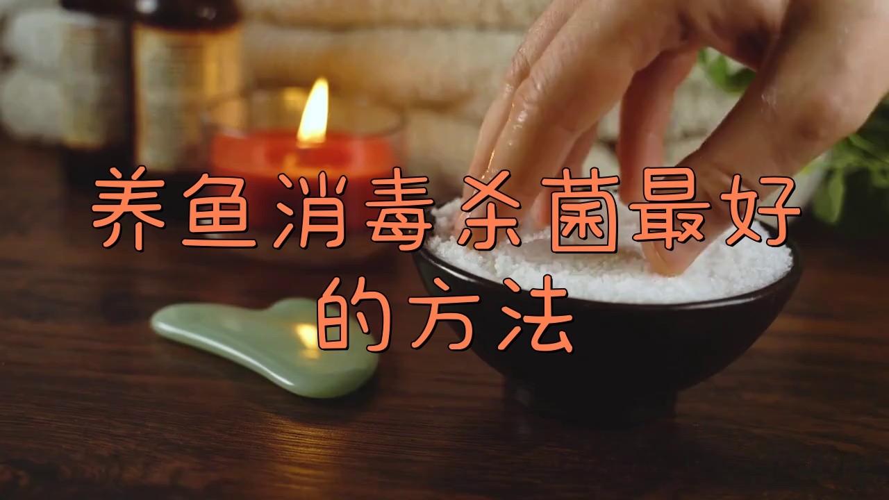 如何給金龍魚消毒