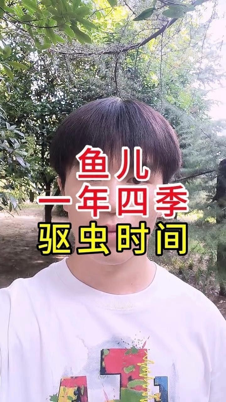 龍魚多久驅一次蟲？ 龍魚多久驅一次蟲？ 龍魚百科 第1張