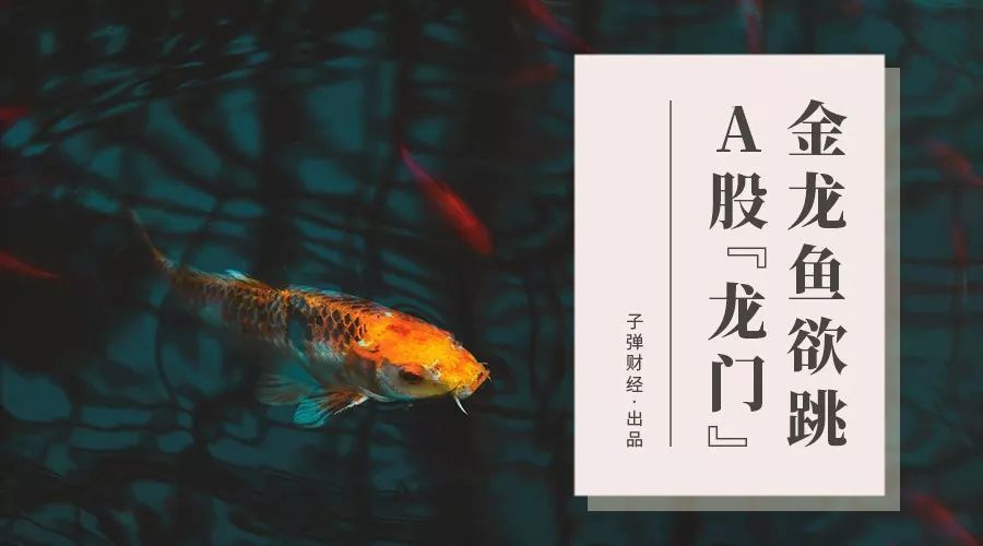 金龍魚為什么不在香港上市（金龍魚不在香港上市的詳細分析：金龍魚在國內上市的原因）