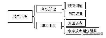銀龍魚嘴撞爛了多久能好啊視頻