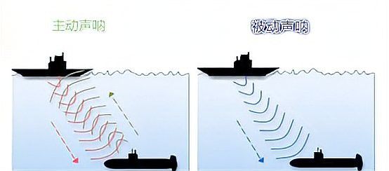 藍(lán)鯨的聲吶系統(tǒng)如何工作？