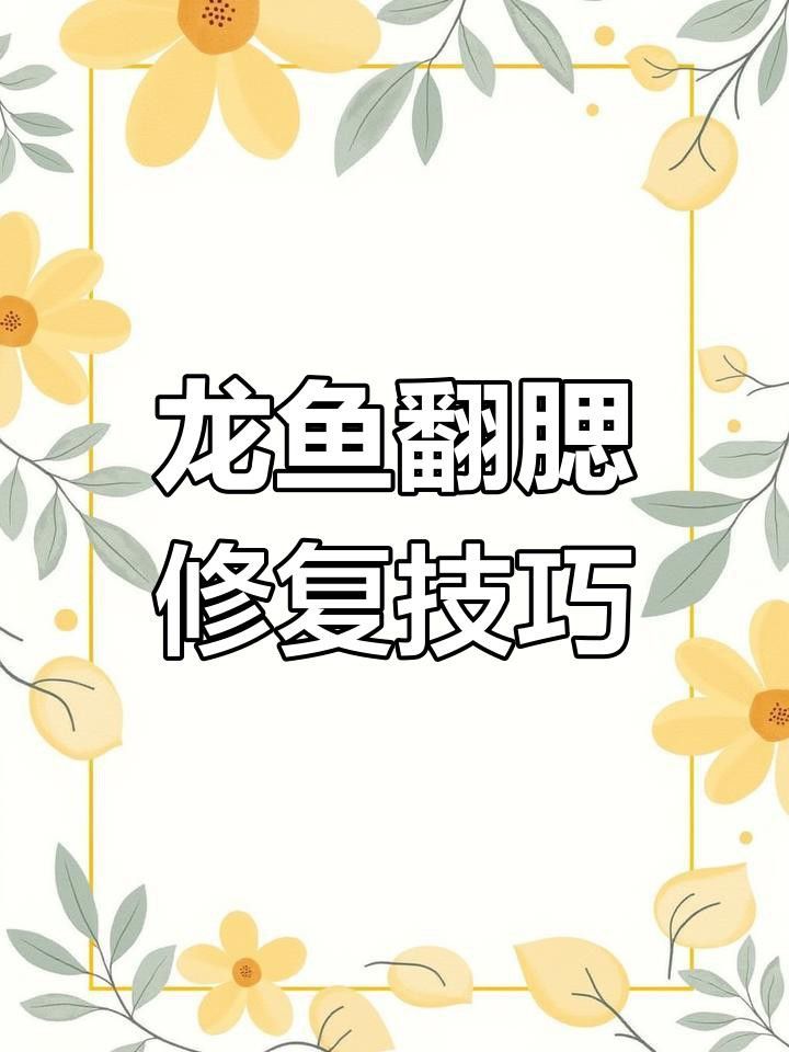 龍魚鰓蓋破損后如何快速恢復？