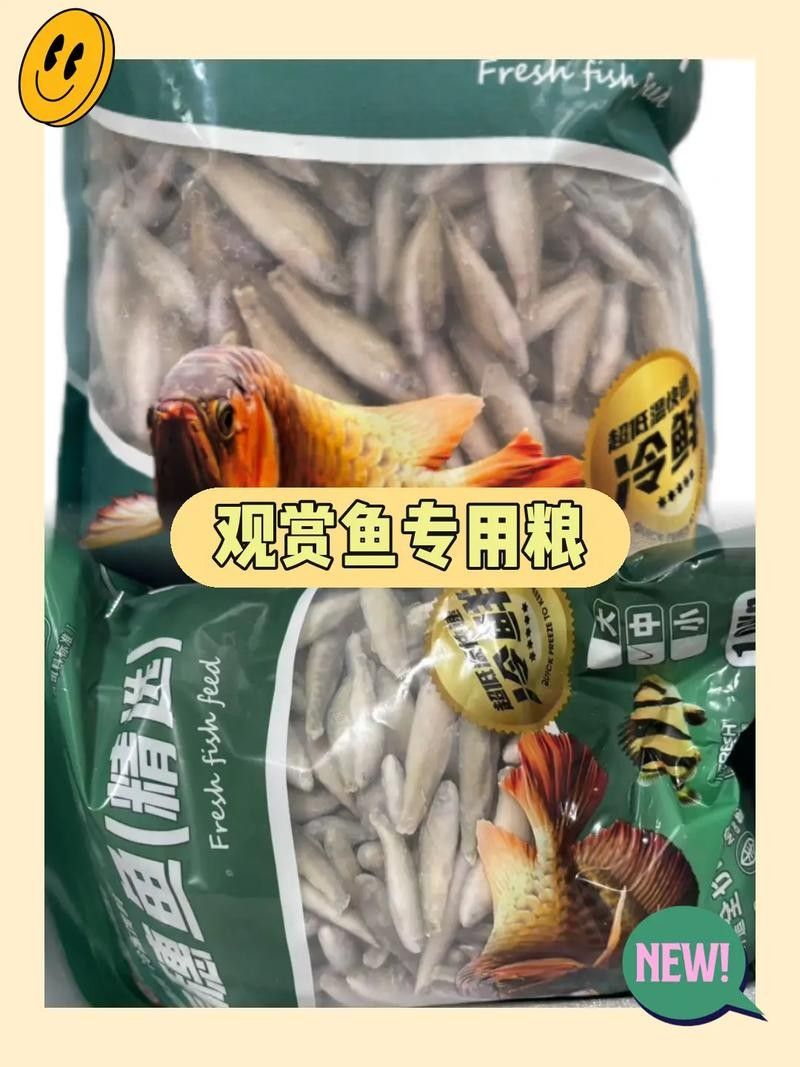銀龍魚喂什么小魚好看