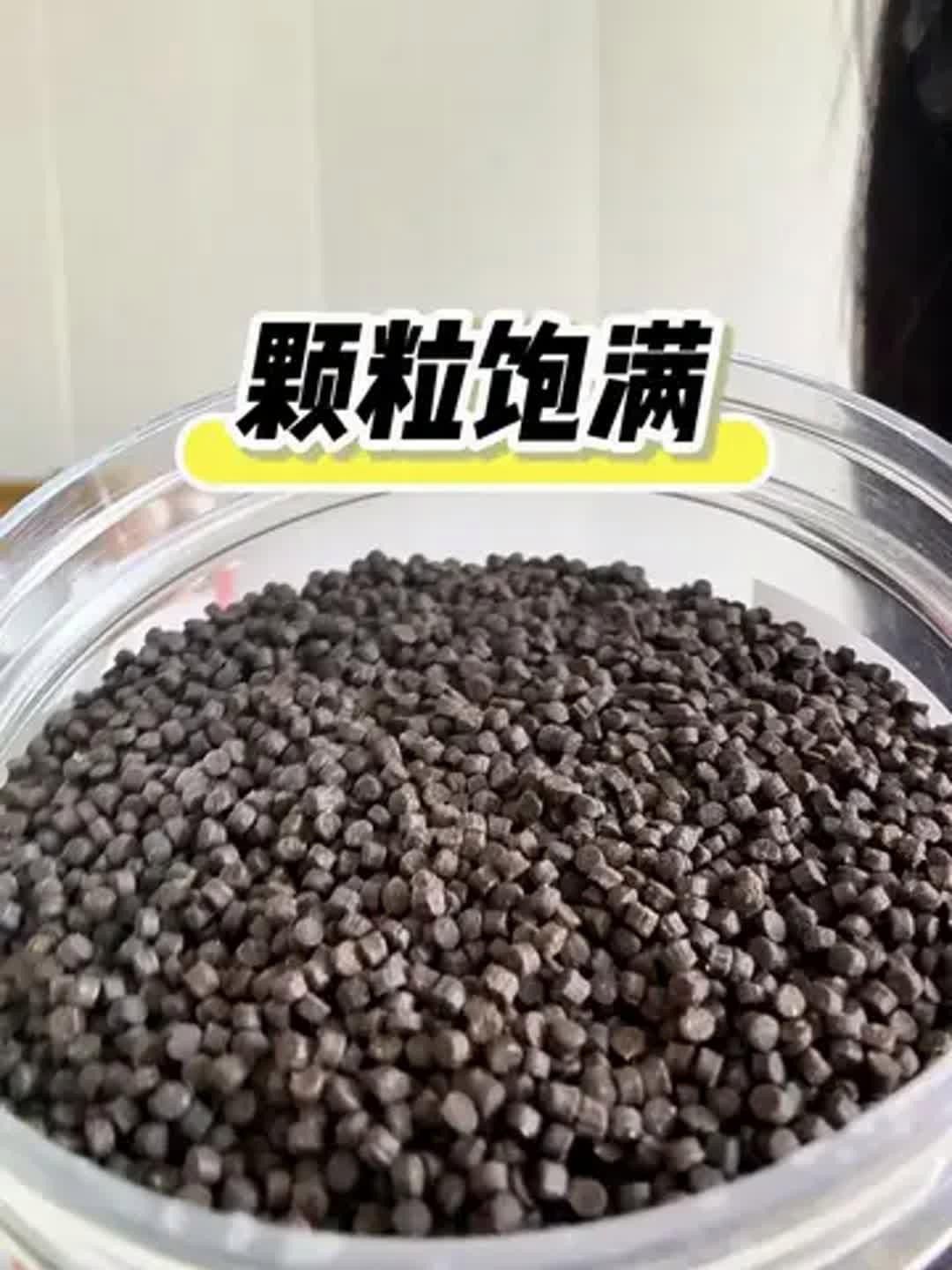 六角恐龍魚吃什么人工飼料