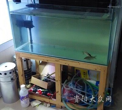 魚缸過濾器怎么安裝視頻教程（如何安裝魚缸過濾器）