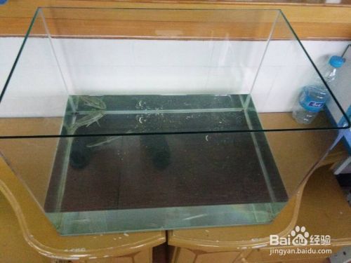 魚缸過濾器怎么安裝視頻教程（如何安裝魚缸過濾器）
