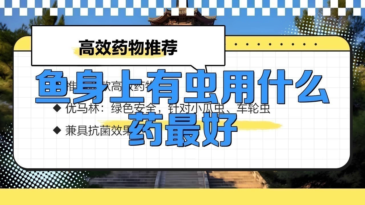 如何預(yù)防龍魚外寄生蟲的再次感染？