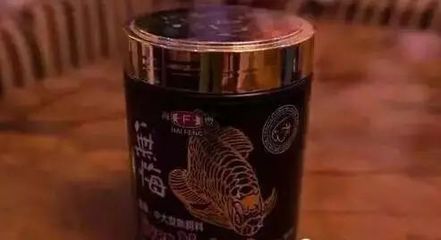 龍魚可以吃飼料嗎怎么喂養：龍魚可以吃飼料嗎