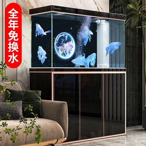 西龍魚缸好還是森森魚缸 西龍魚缸好還是森森魚缸 龍魚百科 第3張