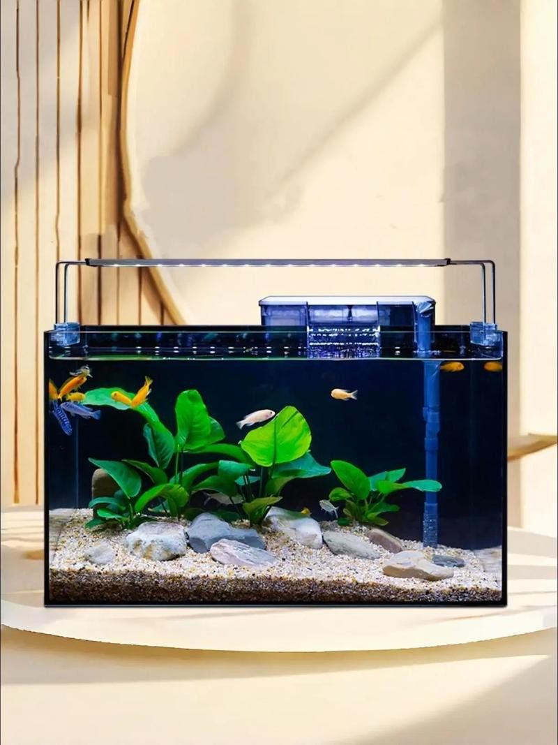 西龍魚缸好還是森森魚缸 西龍魚缸好還是森森魚缸 龍魚百科 第8張