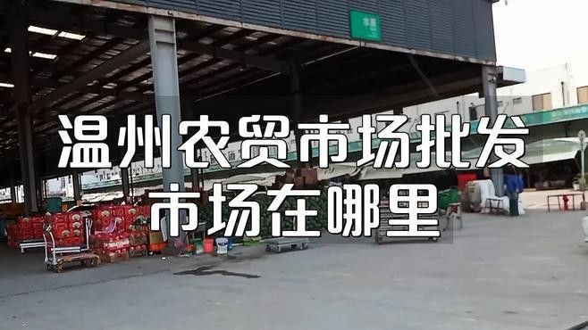 溫州龍魚哪里賣的好啊圖片