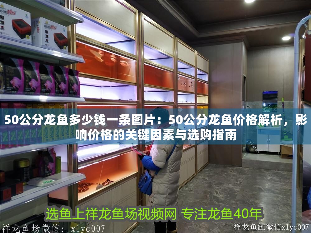 50公分龍魚多少錢一條圖片：50公分龍魚價格解析，影響價格的關鍵因素與選購指南