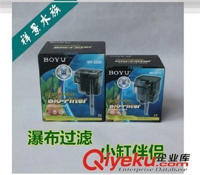 50公分龍魚多少錢一條圖片：50公分龍魚價格解析，影響價格的關鍵因素與選購指南