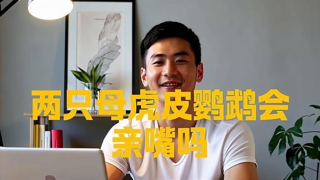 兩只鸚鵡親嘴了要警惕