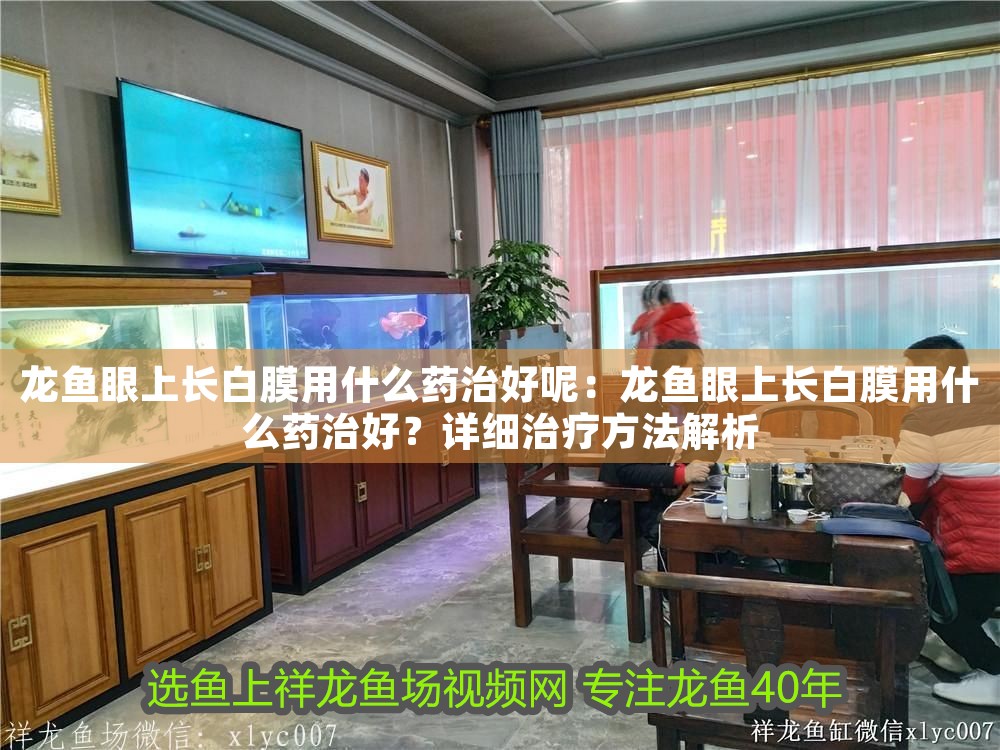 龍魚眼上長白膜用什么藥治好呢：龍魚眼上長白膜用什么藥治好？詳細治療方法解析
