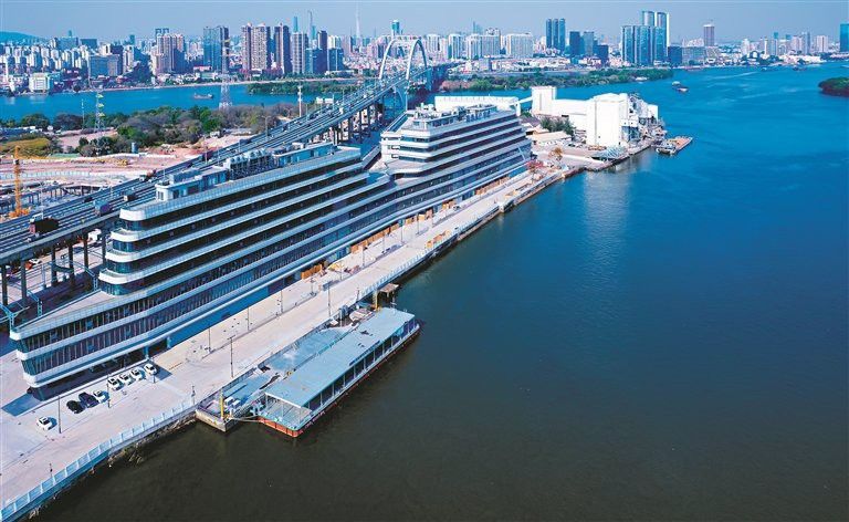 廣州紅龍魚魚苗批發市場地址電話