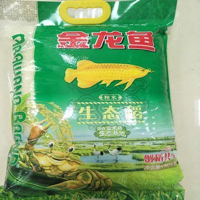 金龍魚品種分類詳解-金龍魚品種分類詳解：如何區分金龍魚的品種及種？