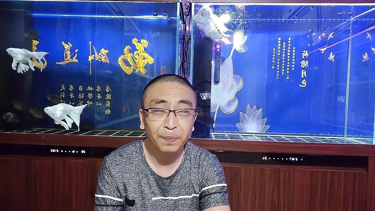 金魚和藍(lán)龍魚能一起養(yǎng)嗎圖片