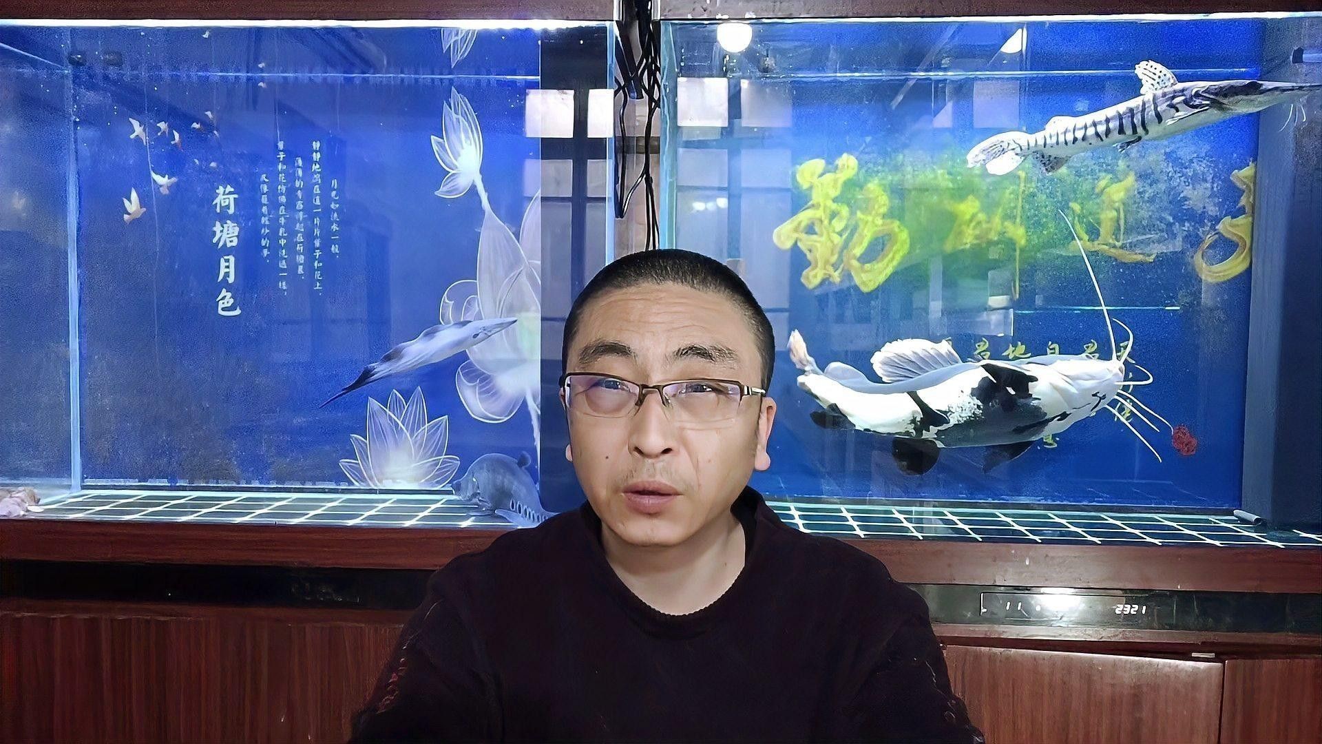 金魚和藍(lán)龍魚能一起養(yǎng)嗎圖片