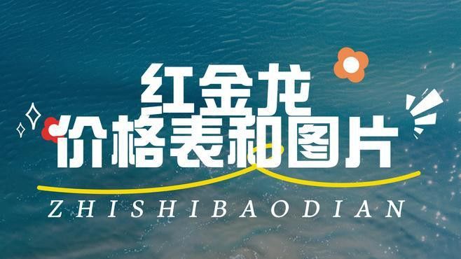 紅金龍香煙有哪些系列