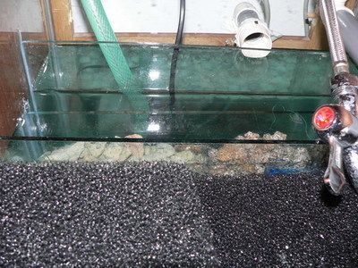 養龍魚前要準備什么材料：養龍魚之前需要準備什么材料