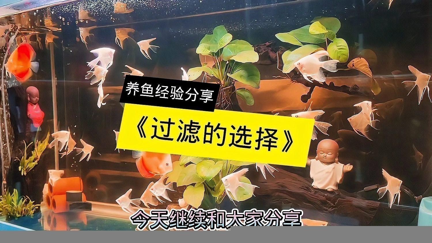 有哪些高效的過濾系統推薦？