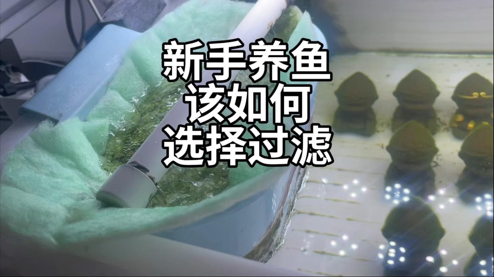 有哪些高效的過濾系統推薦？