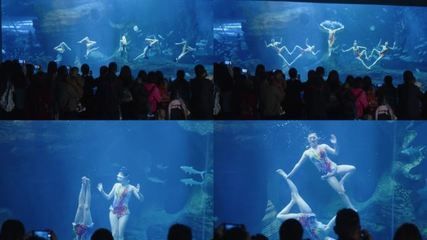 祥龍水族館人魚表演時間表：祥龍水族館人魚表演