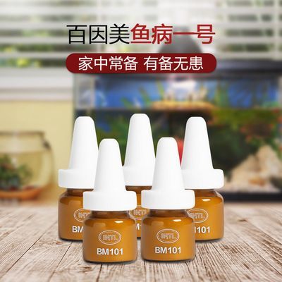 龍魚進口多少錢一條啊視頻教程：印尼龍魚進口流程詳解龍魚進口流程詳解觀賞魚進口流程詳解